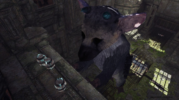The Last Guardian: Последний хранитель [PS4, русские субтитры] в Тольятти