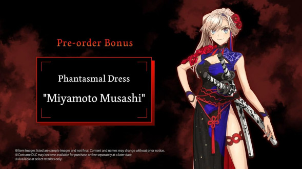 Игра Fate/Samurai Remnant [Nintendo Switch, английская версия] в Тольятти