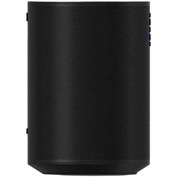 Умная колонка Sonos Era 100, черный в Тольятти