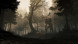 Игра GreedFall [PS4, русские субтитры] в Тольятти