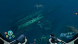 Игра Subnautica: Below Zero [PS5, русские субтитры] в Тольятти