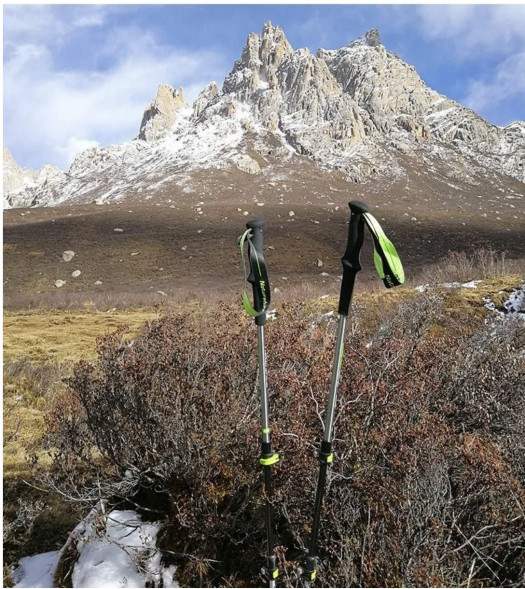 Треккинговая палка Naturehike 135 см, 1 шт., белый/красный в Тольятти