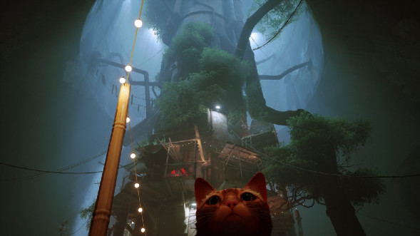 Игра Stray [PS5, русские субтитры] в Тольятти