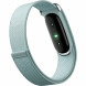 Фитнес-браслет Google Fitbit Air (Серо-голубой/Fog) в Тольятти