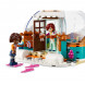 Конструктор LEGO Friends 41760 Праздничное приключение в иглу в Тольятти