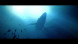 Игра Under The Waves [PS4, русские субтитры] в Тольятти