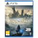 Игра Hogwarts Legacy. Exclusive DLC Astronomers Hat [PS5, русские субтитры] в Тольятти